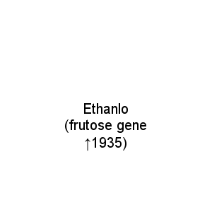 Ethanlo (frutose gene ↑1935)